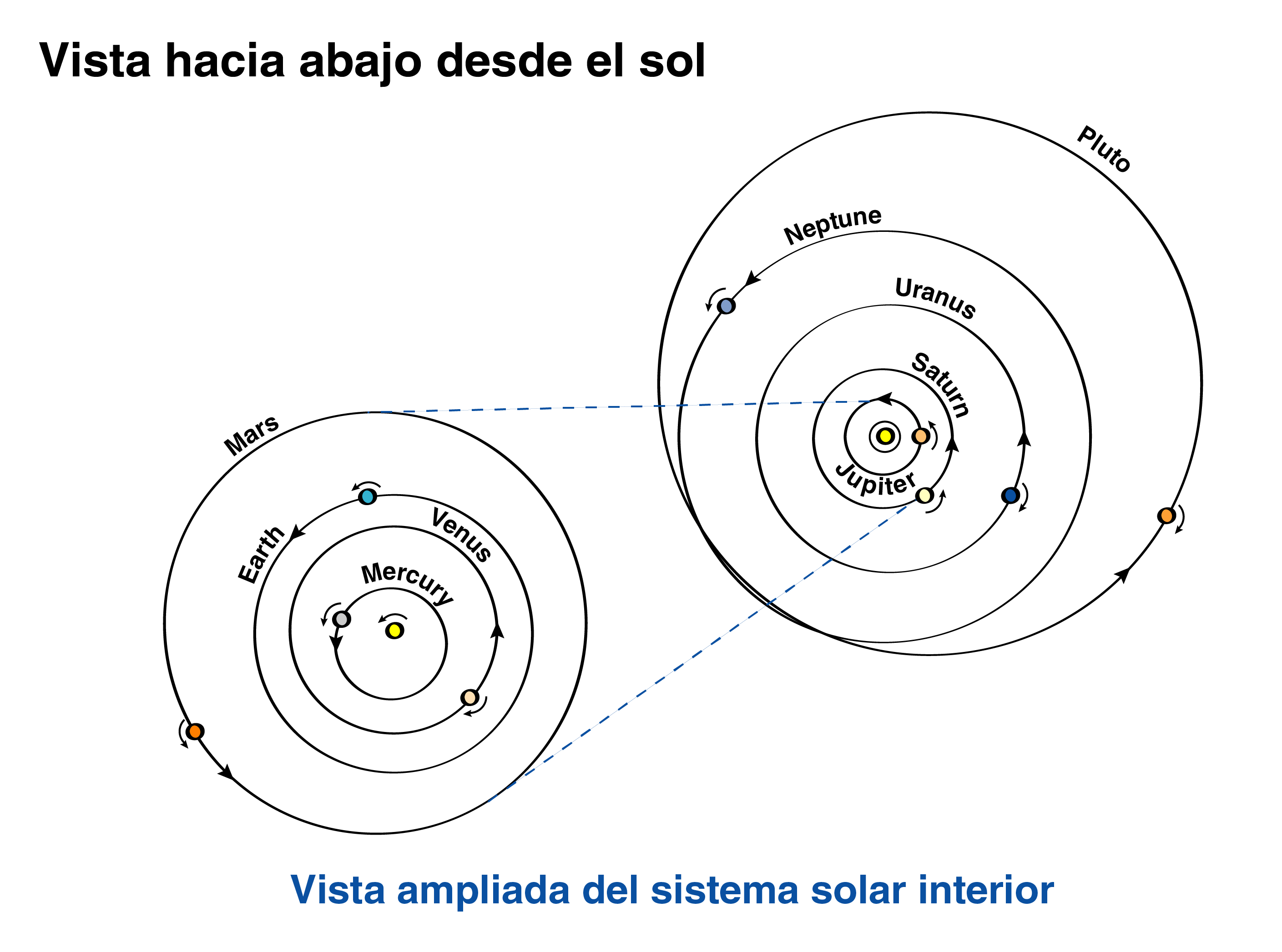 Una vista del sistema solar mirando desde arriba del Sol. La ilustración demuestra la inusual órbita de Plutón. Casi todos los planetas giran alrededor del Sol en círculos casi perfectos. Pero Plutón no. Toma un camino de forma ovalada sin que el Sol esté cerca de su centro. Su camino es bastante inclinado. Y el giro de Plutón va en la dirección opuesta a la de todos los demás excepto Venus y Urano.