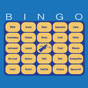 Europa Clipper Launch Bingo