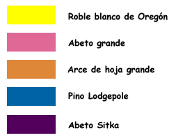 Leyenda: amarillo - roble blanco do Oregon, rosa - abeto grande, de color naranja - rce de hoja grande, azul - pino, púrpura - Abeto Sitka